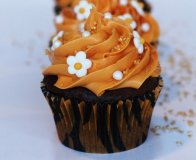 Kurz pečení a zdobení cupcaků